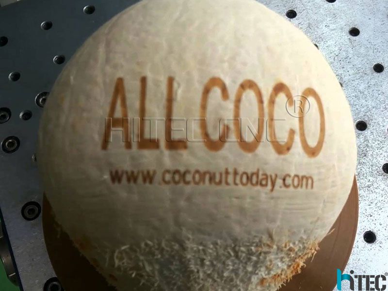 coconut co2 laser marking machine